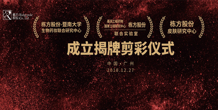 特別報(bào)道丨棟方股份技術(shù)發(fā)展迎來(lái)新里程碑