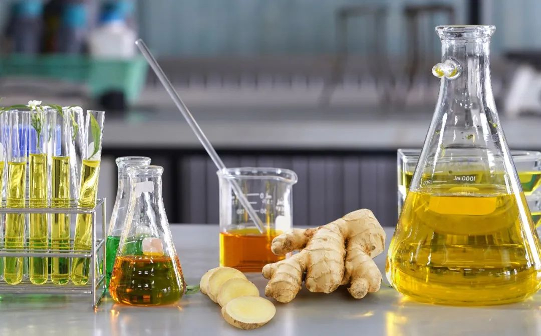 棟方股份榮獲2021年廣東省科技進(jìn)步獎(jiǎng)，科研創(chuàng)新實(shí)力再獲認(rèn)可！